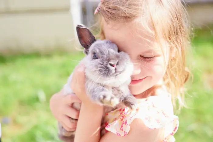 How Do Pet Rabbits Show Affection 02