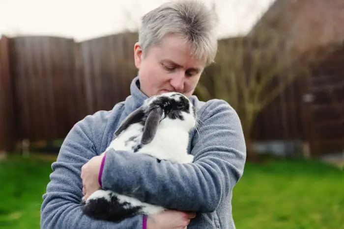 How Do Pet Rabbits Show Affection 04
