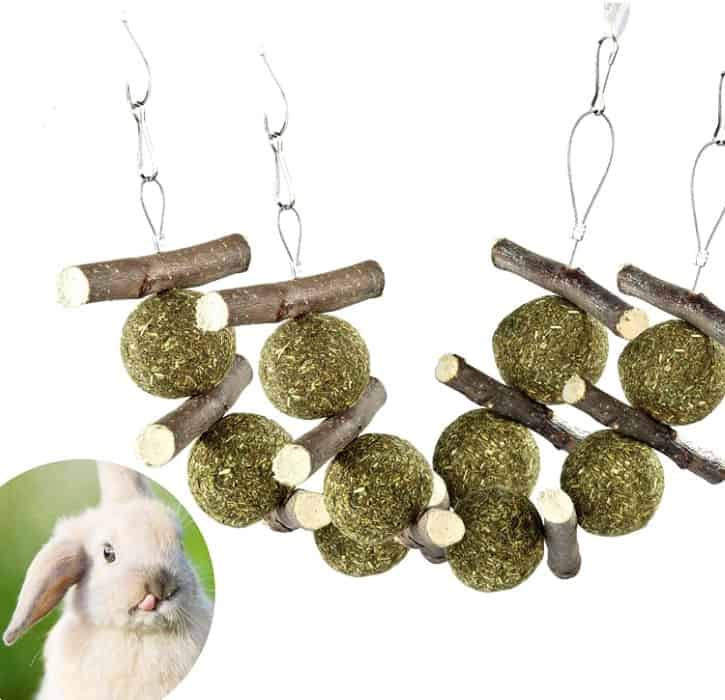 The Best Toys for Your Pet Rabbit SimplyRabbits Rabbit care
