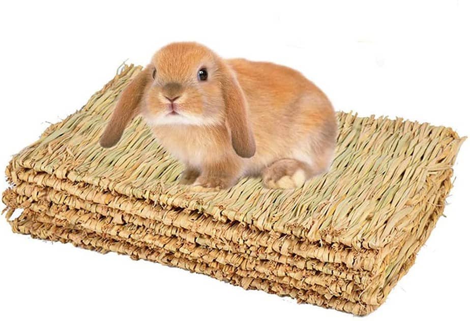 The-Best-Toys-for-Your-Pet-Rabbit-02