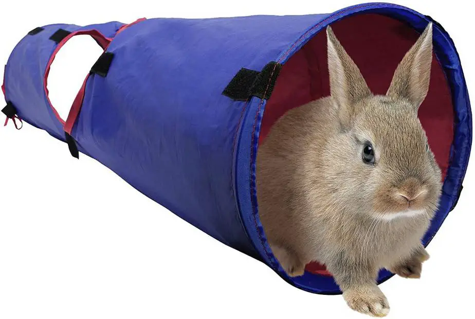 Toys For Rabbit Pet at Rebecca Martin blog